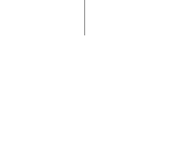 CHITA CORPORATION IS Partner